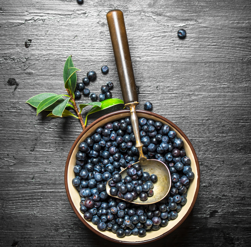 Blueberry Extract