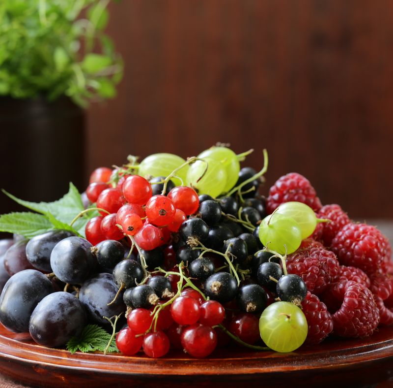 Resveratrol